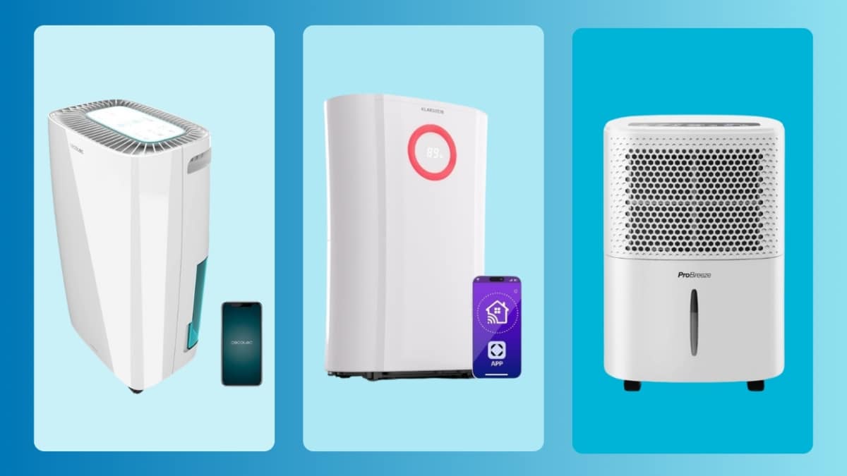 Los 7 mejores deshumidificadores calidad-precio (2025)