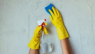 La nueva mezcla viral para una limpieza del hogar perfecta