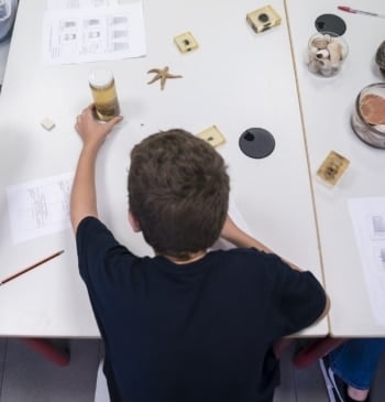 España emite uno de cada cinco permisos de residencia a menores en [...]