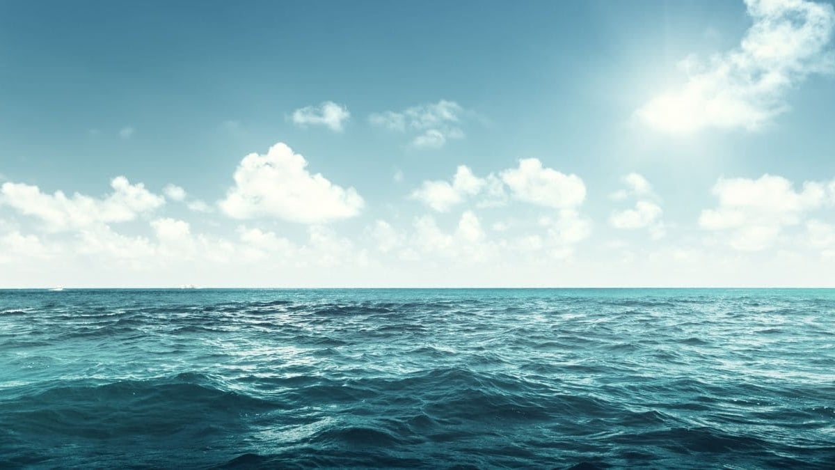 Nuevo océano