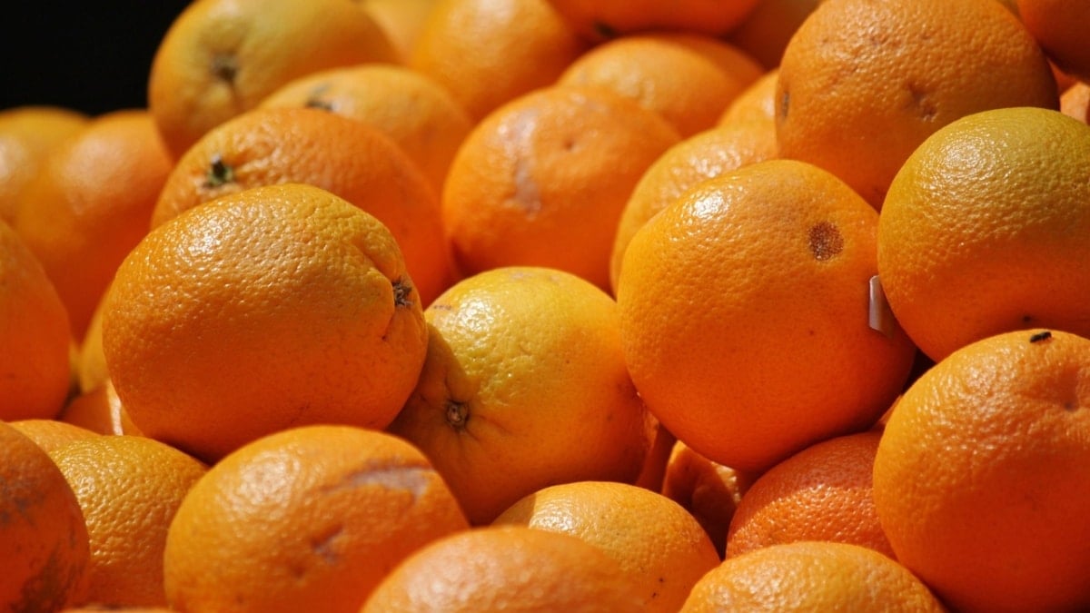 La vitamina C de las naranjas, clave para nuestra salud