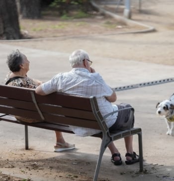 Aumento en torno al 2,7% en 2026 de las pensiones contributivas y [...]