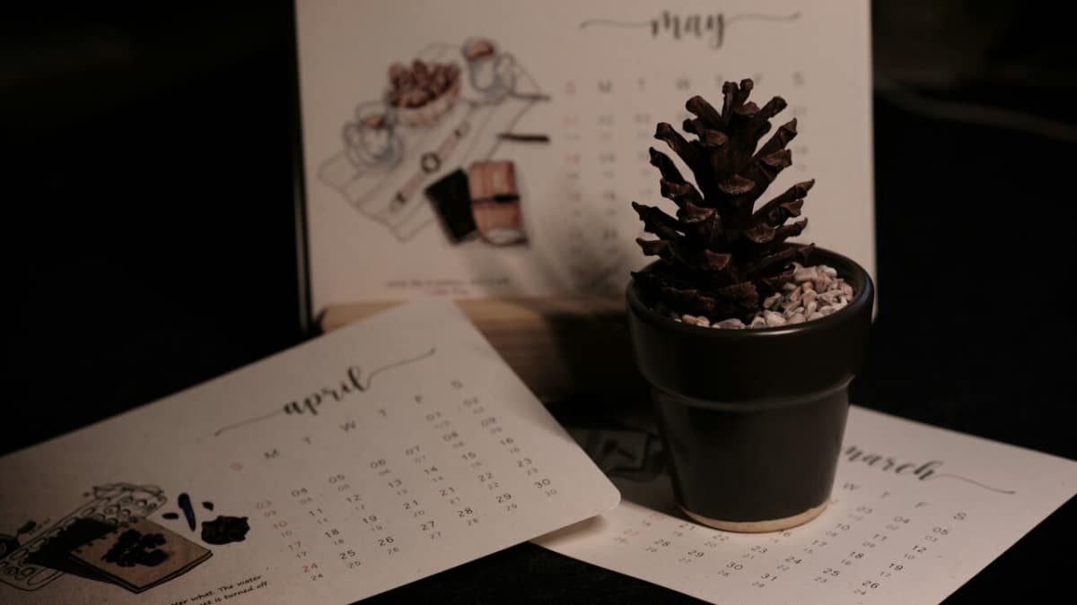 Doce meses, mil recuerdos: el calendario que cuenta tu historia