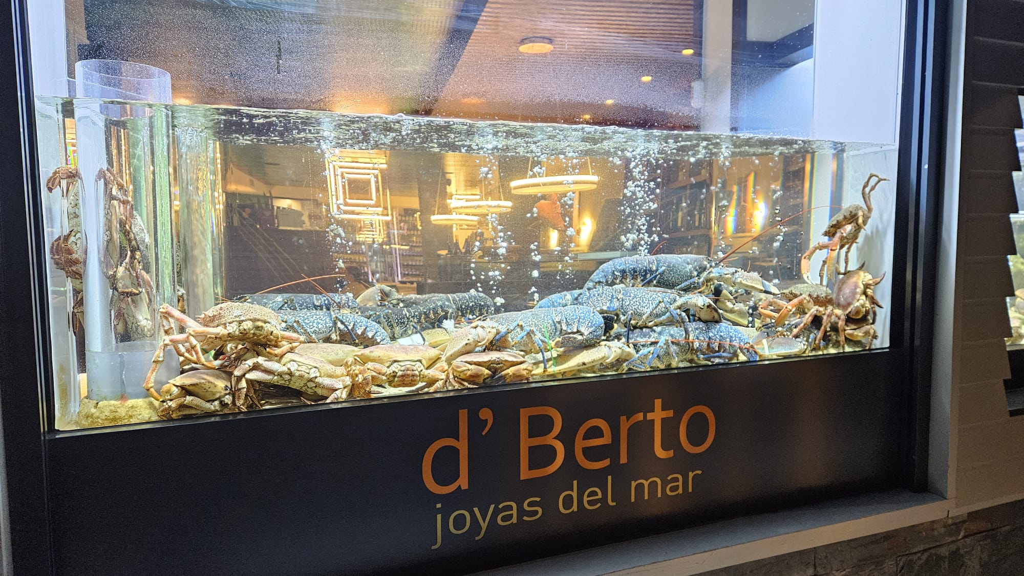 La bien surtida piscina de mariscos de D'Berto.