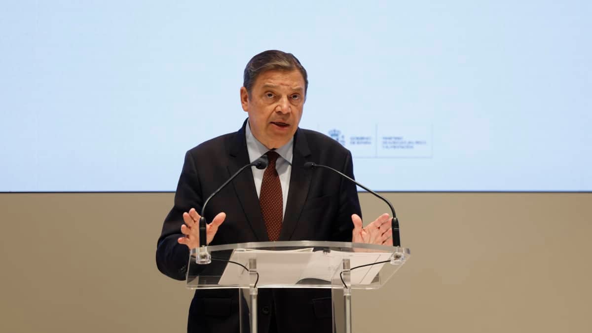 Planas pide "tranquilidad" ante la vuelta de la peste porcina