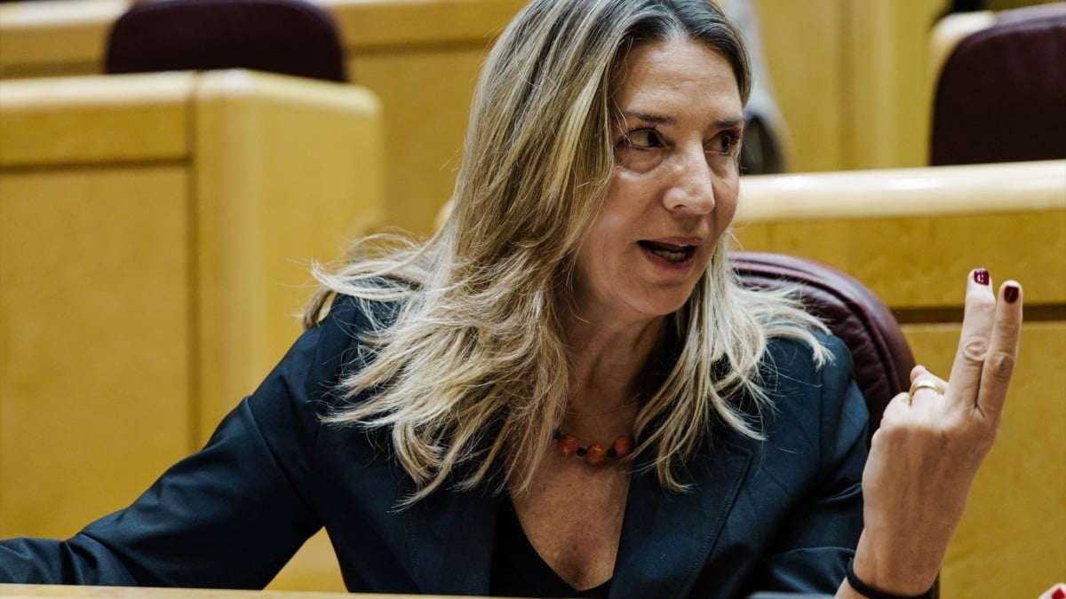 El PP cita en diciembre a Santos Cerdán en la comisión ‘Koldo’ tras su salida de la cárcel