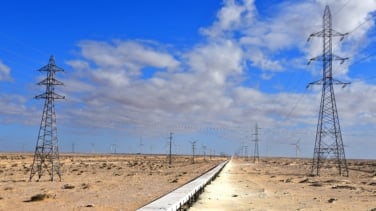 Cincuenta años de ocupación y expolio: el espejismo verde del Sáhara Occidental