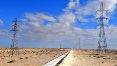 Cincuenta años de ocupación y expolio: el espejismo verde del Sáhara Occidental