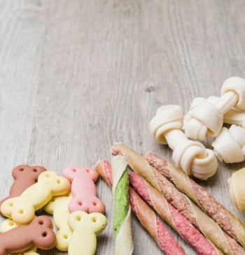 Mercadona revoluciona las redes con los nuevos snacks para perros