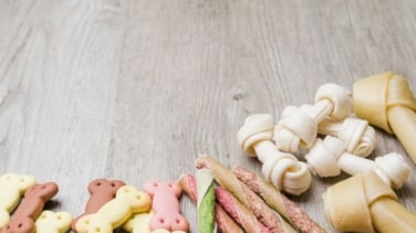 Mercadona revoluciona las redes con los nuevos snacks para perros