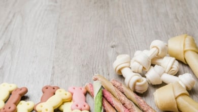 Mercadona revoluciona las redes con los nuevos snacks para perros