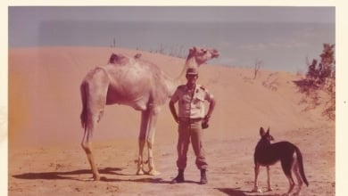 Los militares españoles del Sáhara: “Aquella salida creó el monstruo envalentonado que hoy es Marruecos”