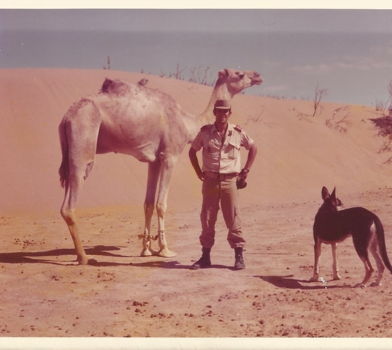 Los militares españoles del Sáhara: “Aquella salida creó el monstruo envalentonado que hoy es Marruecos”