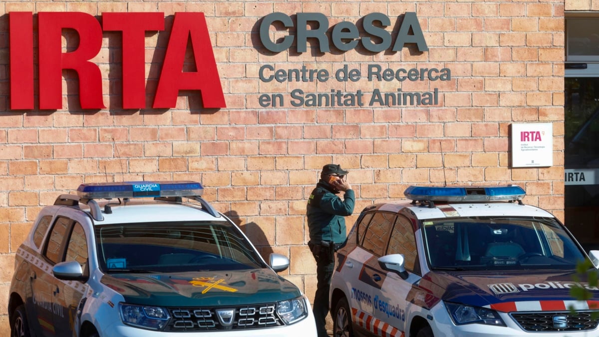 Los análisis de la Generalitat descartan que el virus de la peste saliera del laboratorio
