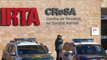 Los análisis de la Generalitat descartan que el virus de la peste saliera del laboratorio