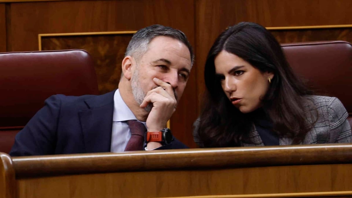 El líder de Vox, Santiago Abascal, y la portavoz parlamentaria del partido en el Congreso, Pepa Millán, en un pleno en el hemiciclo