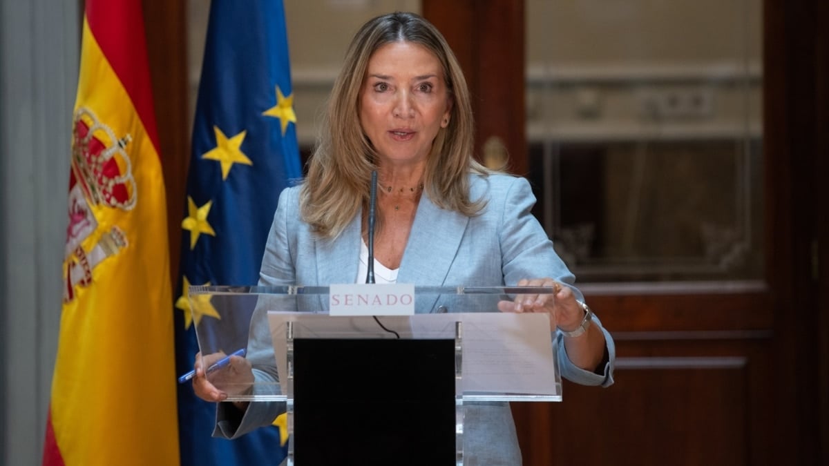 La portavoz del PP en el Senado, Alicia García, en una rueda de prensa