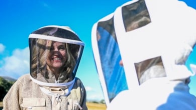 El PSOE diseña para Alegría una campaña "de proximidad" y teme la división en su izquierda: "Claro que no es una buena noticia"