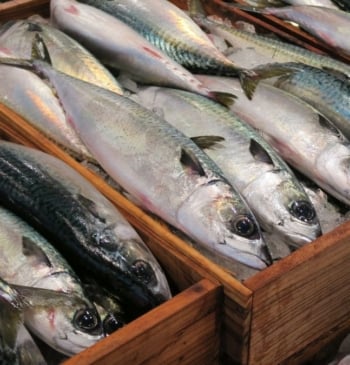 Por qué la caballa es uno de los pescados más saludables que [...]