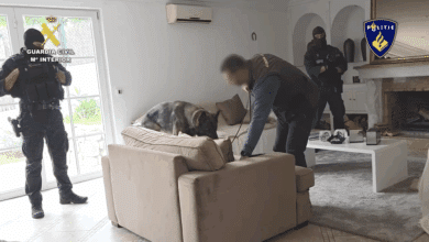 Tres detenidos y 600 kilos de cocaína: así ha sido el golpe a una red familiar de narcotráfico internacional