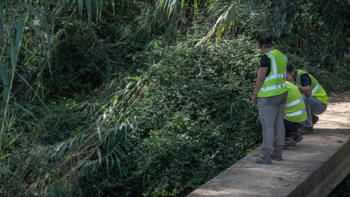 Los inmigrantes toman el relevo de los jubilados españoles en las regiones más envejecidas