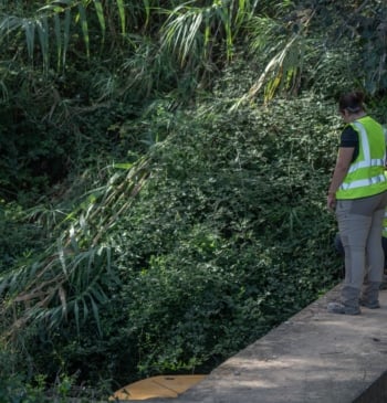 Los inmigrantes toman el relevo de los jubilados españoles en las regiones [...]