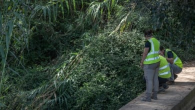 Los inmigrantes toman el relevo de los jubilados españoles en las regiones más envejecidas