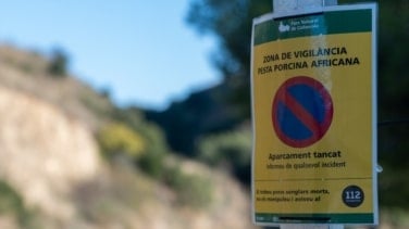 Se eleva a trece el número de jabalíes infectados por peste porcina en Cataluña