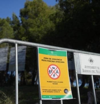 El Ministerio de Agricultura investiga si el brote de peste porcina en [...]