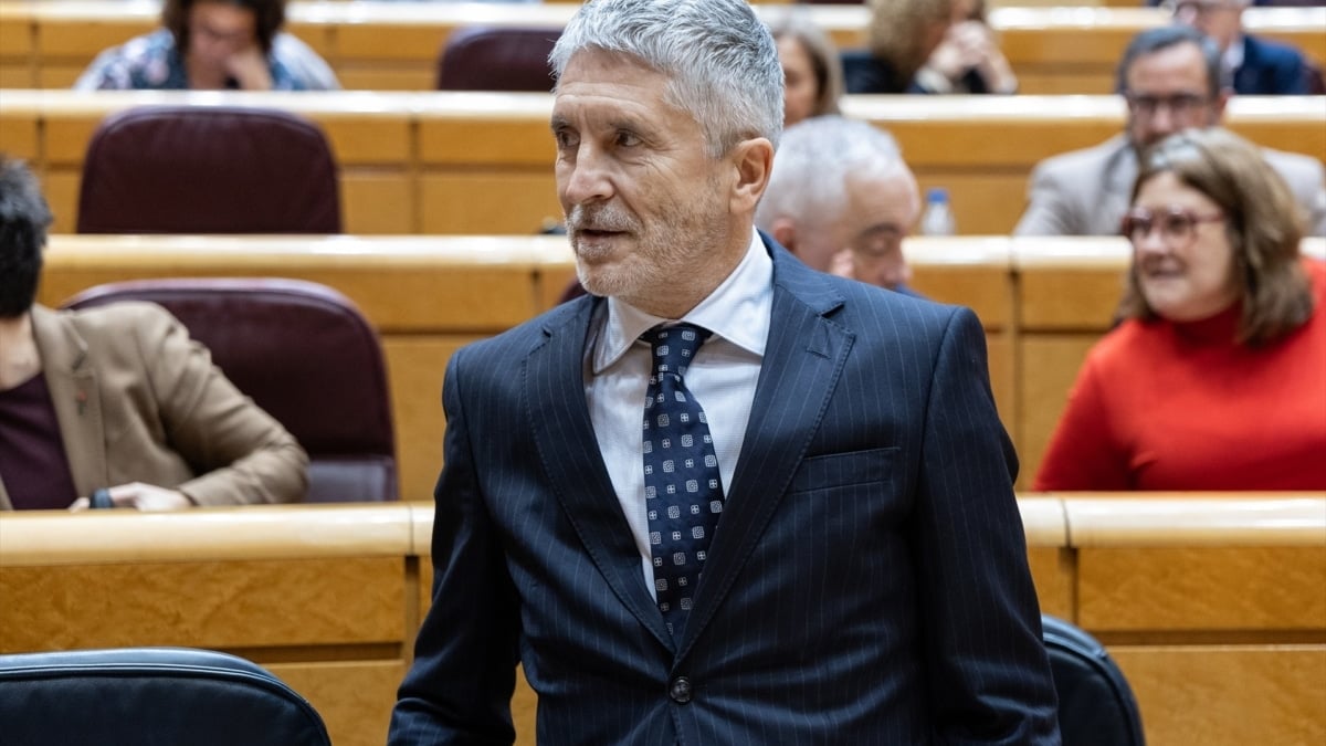 El Tribunal de Cuentas reprende a Interior y advierte de que Policía y Guardia Civil trabajan con una flota obsoleta