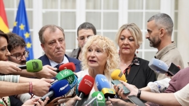 La Fiscalía de Sevilla archiva la denuncia de Amama sobre el supuesto borrado de mamografías