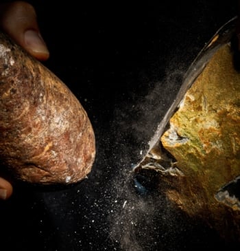 Las mejores fotos científicas de 2025