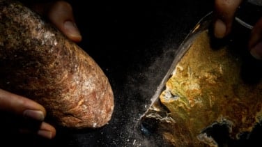 Las mejores fotos científicas de 2025