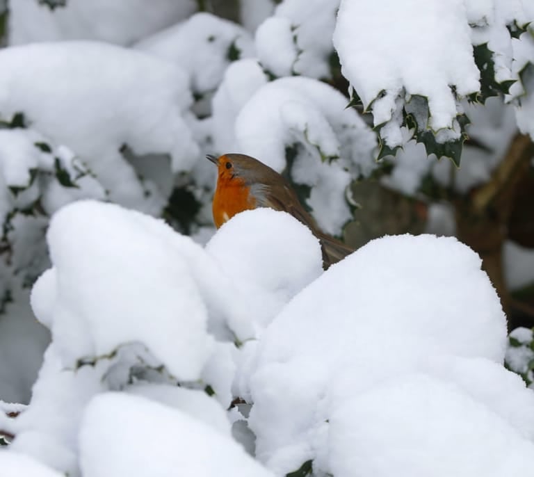 El tiempo en Nochebuena y Navidad: serán los días más fríos desde 2010 con nieve y carreteras afectadas