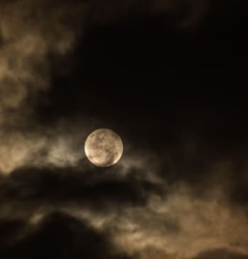 Luna llena de diciembre 2025: cuándo y cómo ver la última del [...]