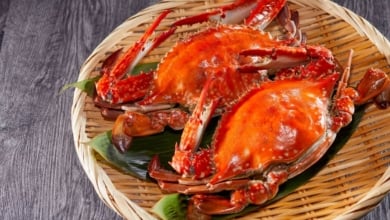 Las consecuencias de comer mucho marisco durante la Navidad