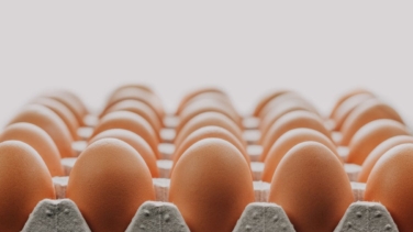 La OCU alerta de la práctica de los supermercados con los huevos camperos