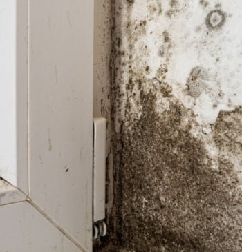 Los consejos de la OCU para acabar con la humedad en casa