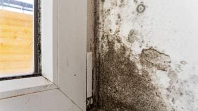 Los consejos de la OCU para acabar con la humedad en casa