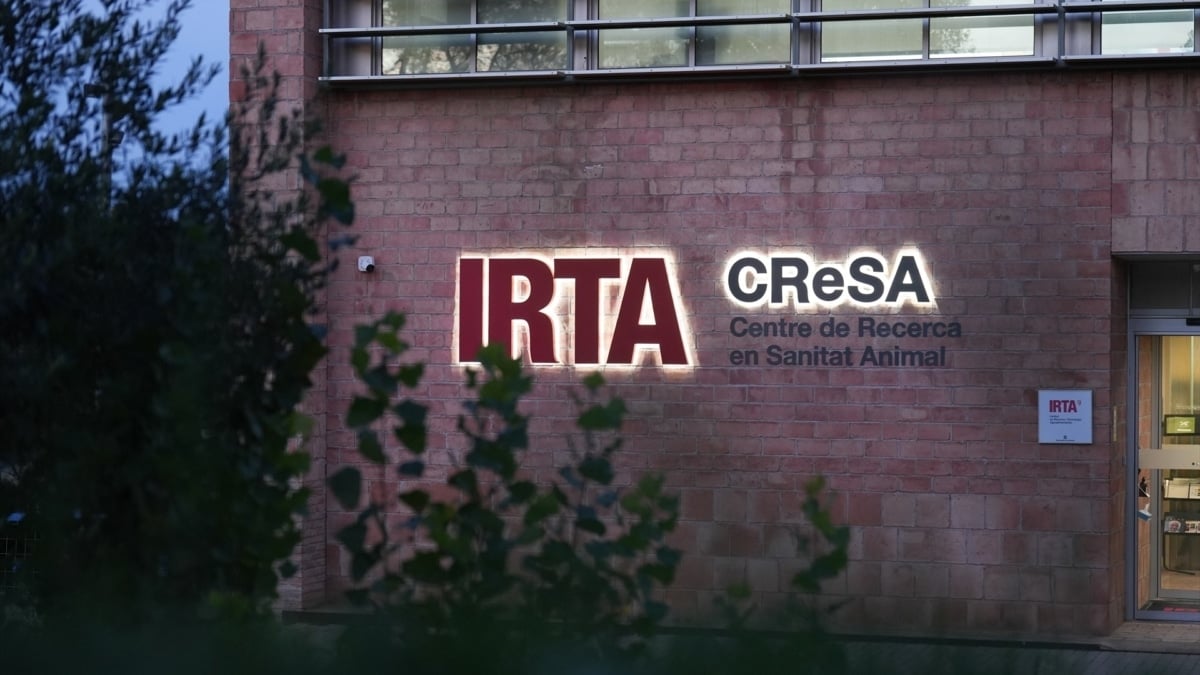 Los Mossos y la Guardia Civil registran el laboratorio de IRTA-CReSA investigado por la peste porcina