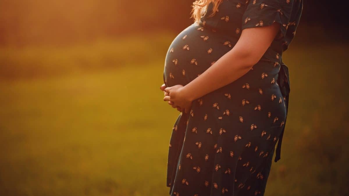 La SEF destaca que el 10% de los nacimientos en España ya procede de técnicas de reproducción asistida