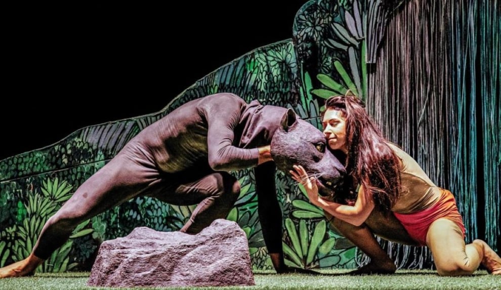 Imagen de la obra '¡Soy Salvaje!'