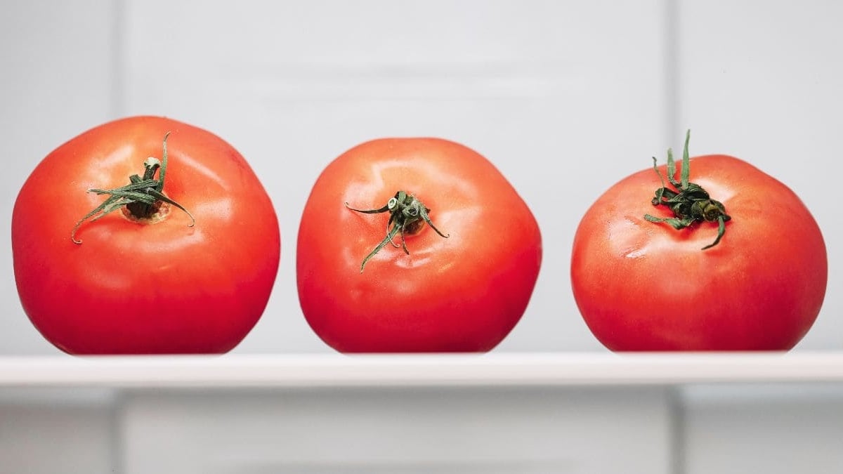 Tomates nevera