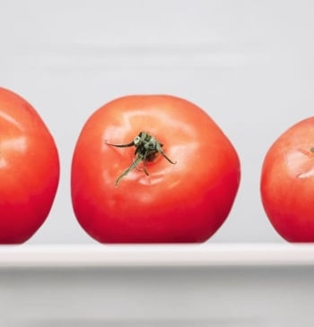 Así debes guardar los tomates en la nevera para que no se [...]