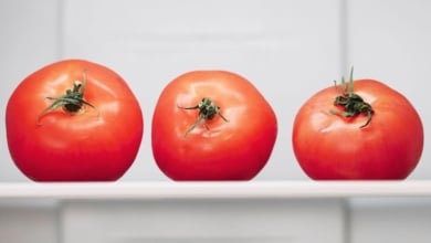 Así debes guardar los tomates en la nevera para que no se pongan malos