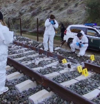 Un fallo en la vía, la hipótesis más probable para la investigación [...]