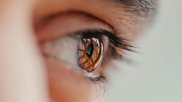 Los alimentos que ayudan a mantener sana la visión