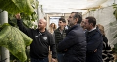 La Junta ha abonado más de 37 millones en ayudas a los agricultores andaluces por la dana y los temporales de 2024