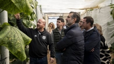 La Junta ha abonado más de 37 millones en ayudas a los agricultores andaluces por la dana y los temporales de 2024