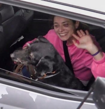 Suflé emocional con perro